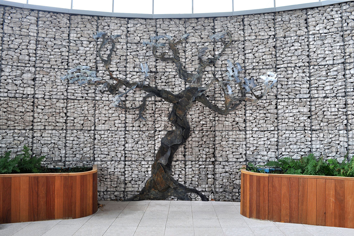 Tree - Clatterbridge