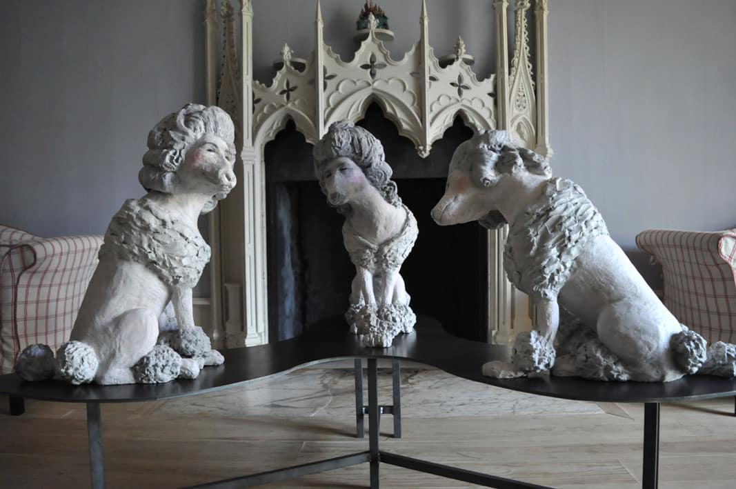 Poodles