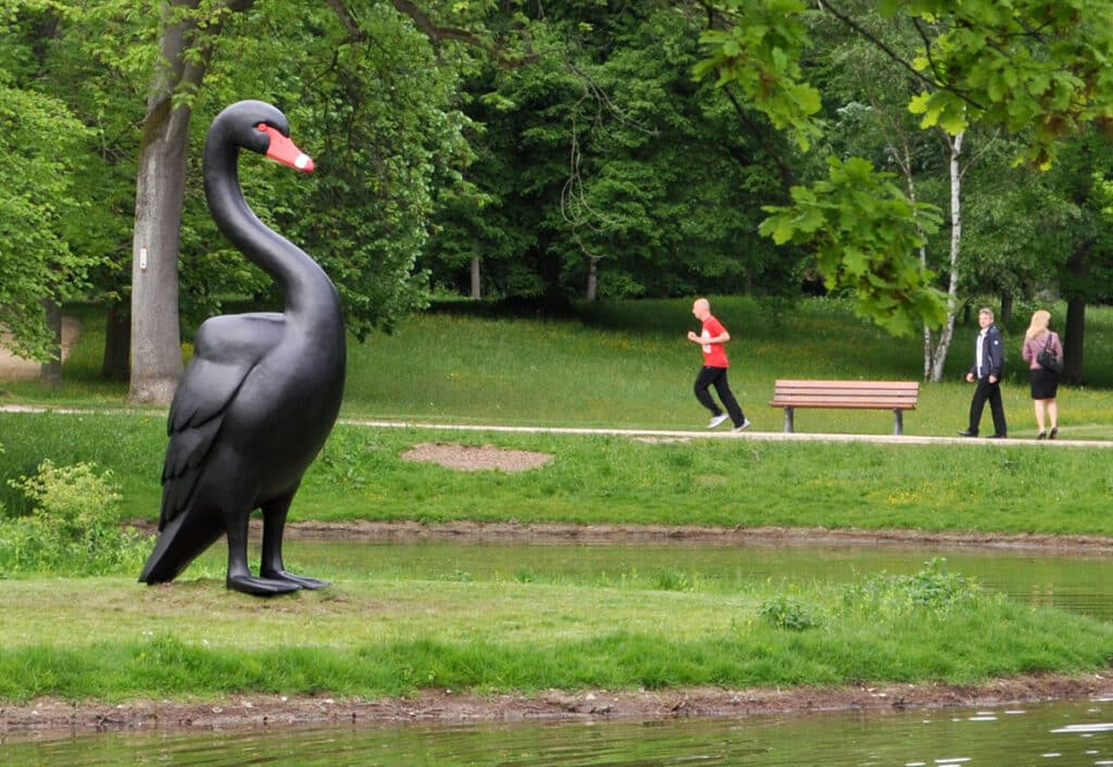 Black Swan