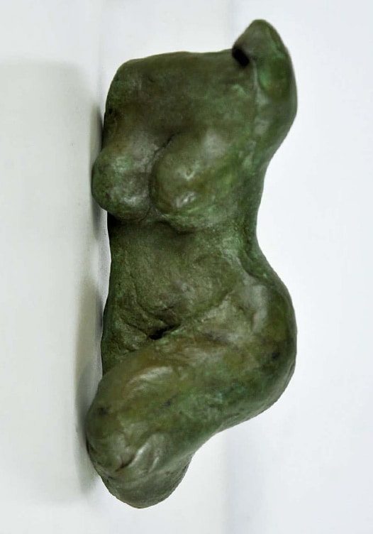 Woman torso