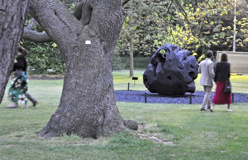 Black Butt - Kew Gardens