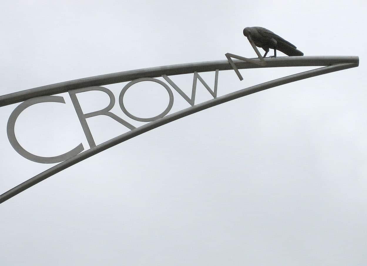 Crows of Bicester
