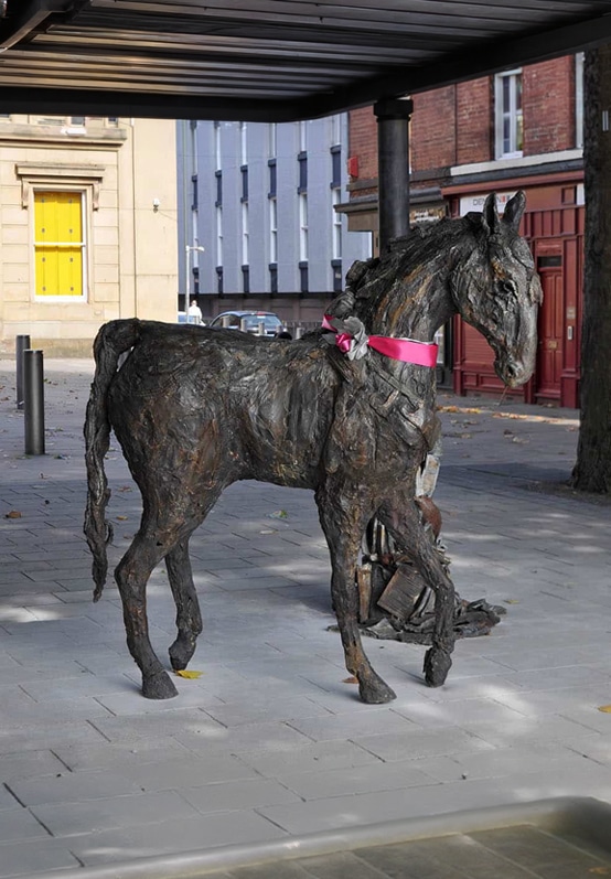 Salford Firsts Horse